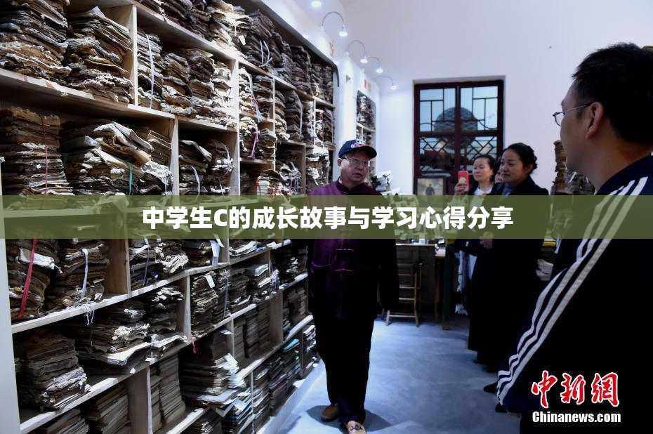 中学生C的成长故事与学习心得分享