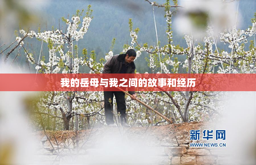 我的岳母与我之间的故事和经历