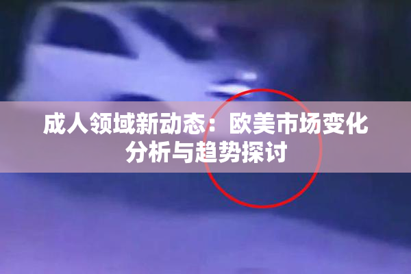 成人领域新动态：欧美市场变化分析与趋势探讨