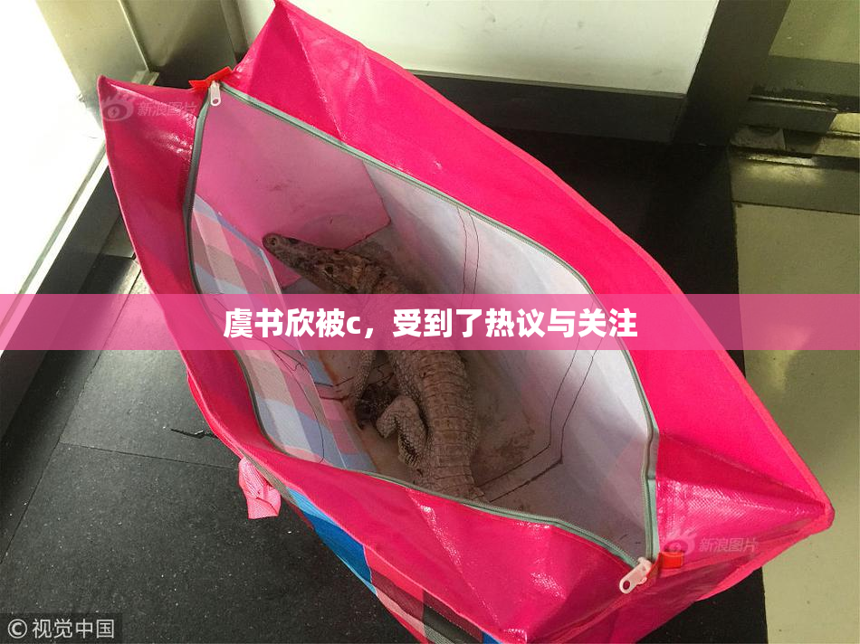虞书欣被c，受到了热议与关注