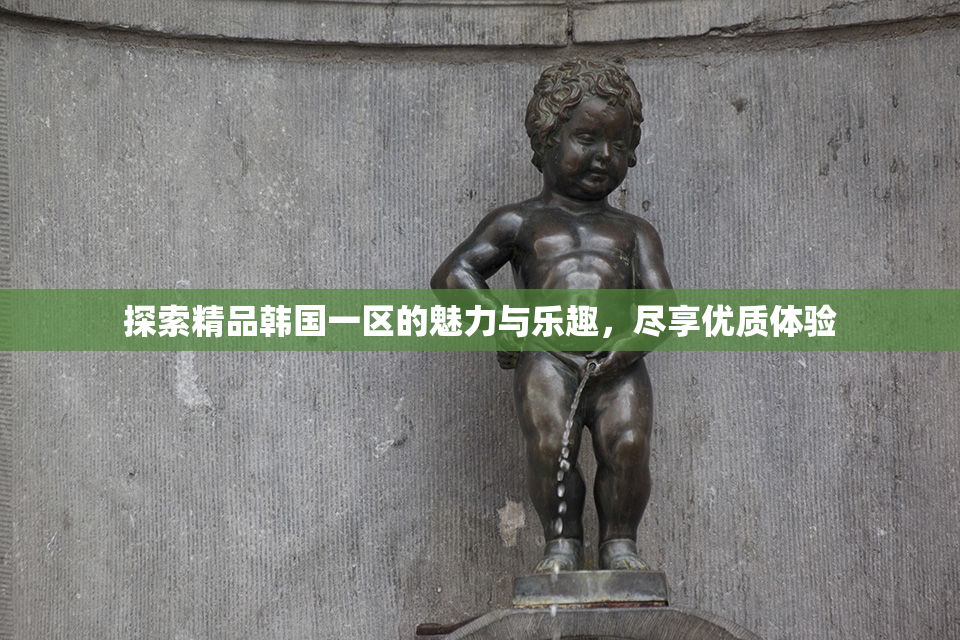 探索精品韩国一区的魅力与乐趣，尽享优质体验