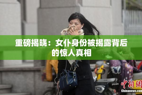重磅揭晓：女仆身份被揭露背后的惊人真相