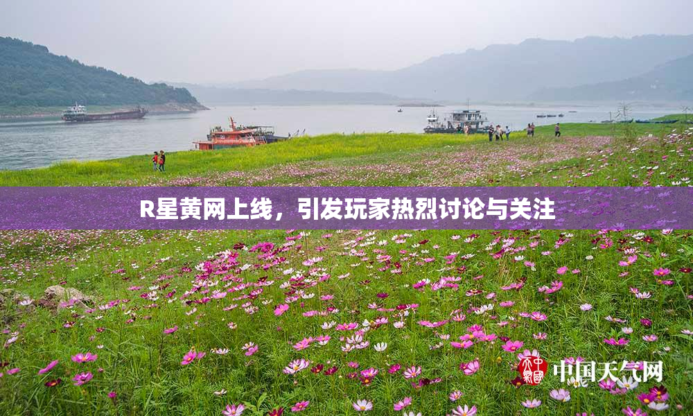 R星黄网上线，引发玩家热烈讨论与关注