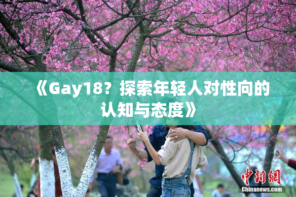 《Gay18？探索年轻人对性向的认知与态度》