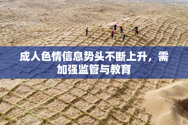 成人色情信息势头不断上升，需加强监管与教育