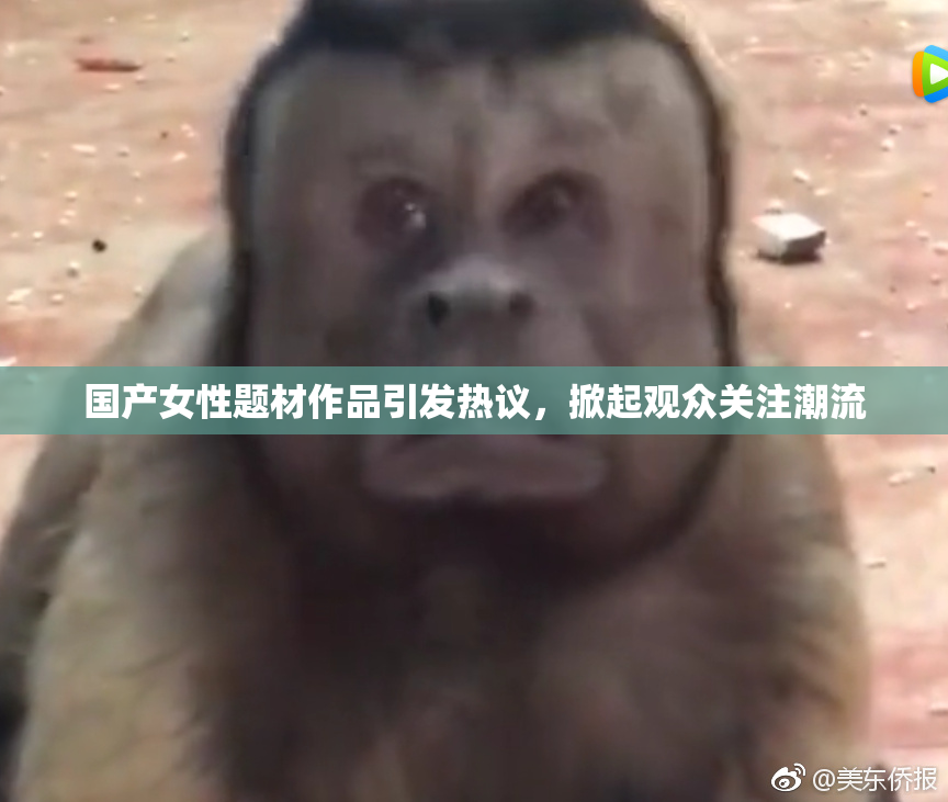 国产女性题材作品引发热议，掀起观众关注潮流