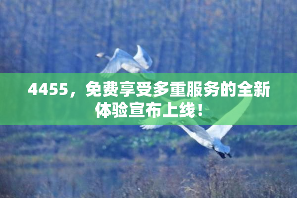 4455，免费享受多重服务的全新体验宣布上线！