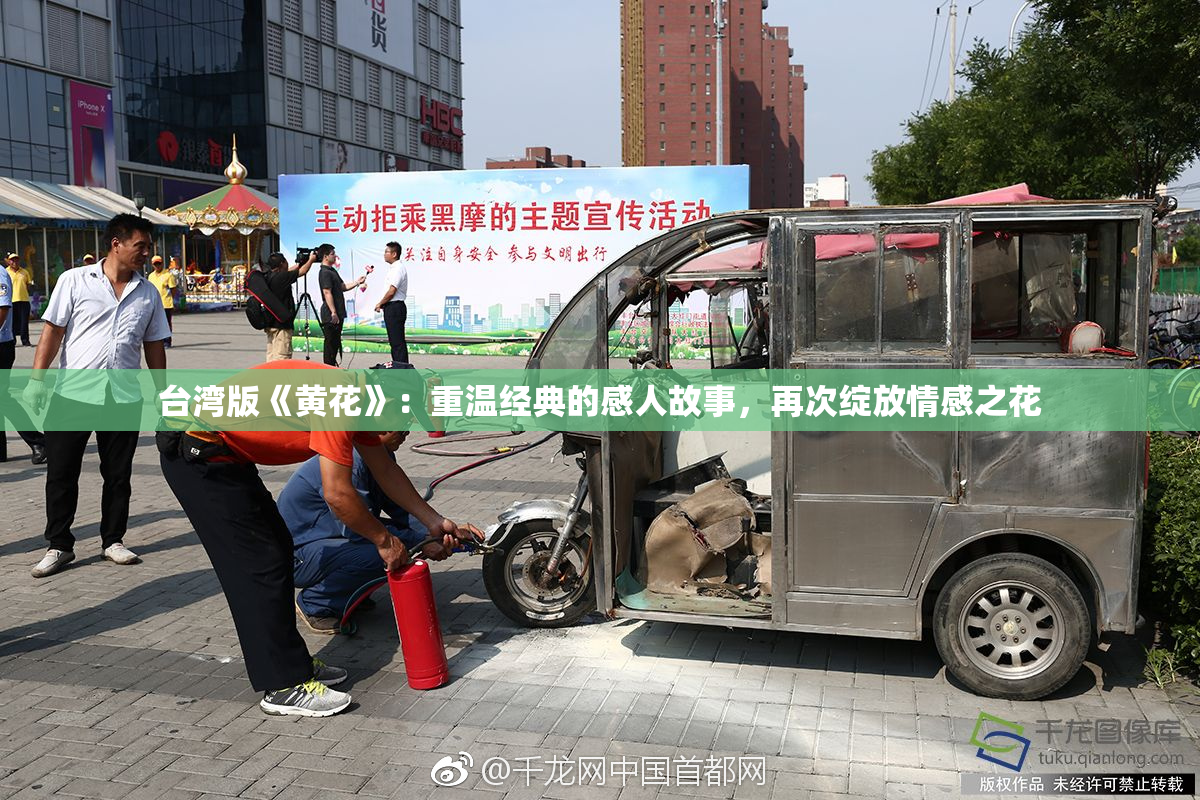 台湾版《黄花》：重温经典的感人故事，再次绽放情感之花