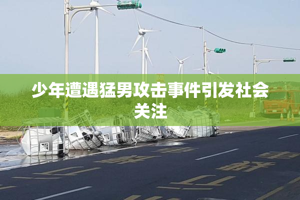 少年遭遇猛男攻击事件引发社会关注