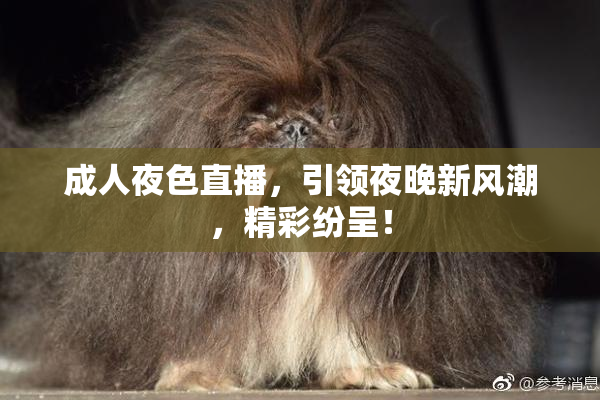 成人夜色直播，引领夜晚新风潮，精彩纷呈！