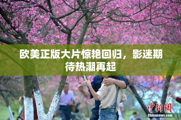 欧美正版大片惊艳回归，影迷期待热潮再起