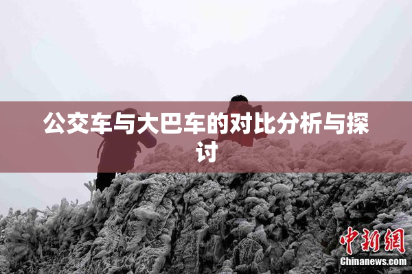公交车与大巴车的对比分析与探讨