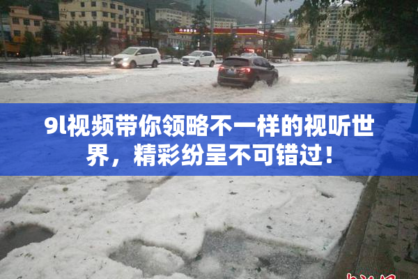 9l视频带你领略不一样的视听世界，精彩纷呈不可错过！