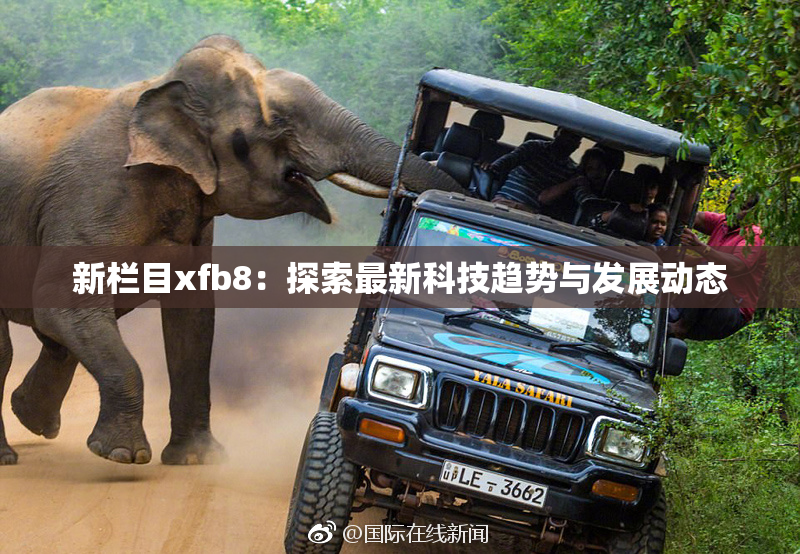 新栏目xfb8：探索最新科技趋势与发展动态