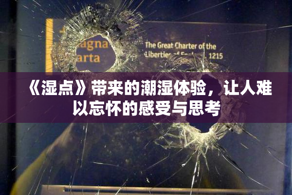 《湿点》带来的潮湿体验，让人难以忘怀的感受与思考