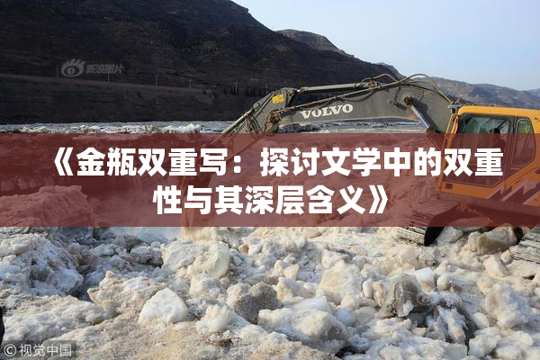 《金瓶双重写：探讨文学中的双重性与其深层含义》