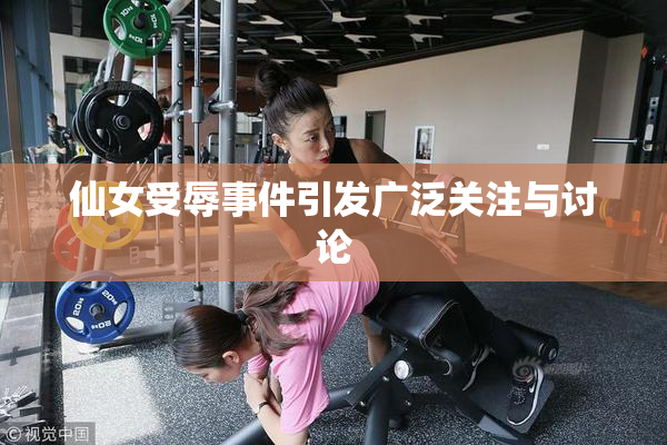 仙女受辱事件引发广泛关注与讨论