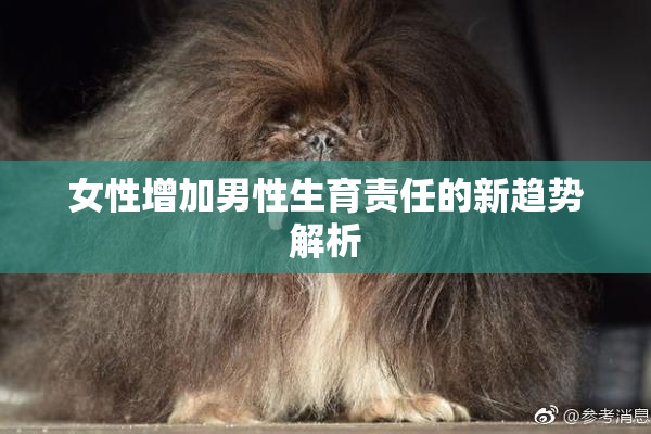 女性增加男性生育责任的新趋势解析