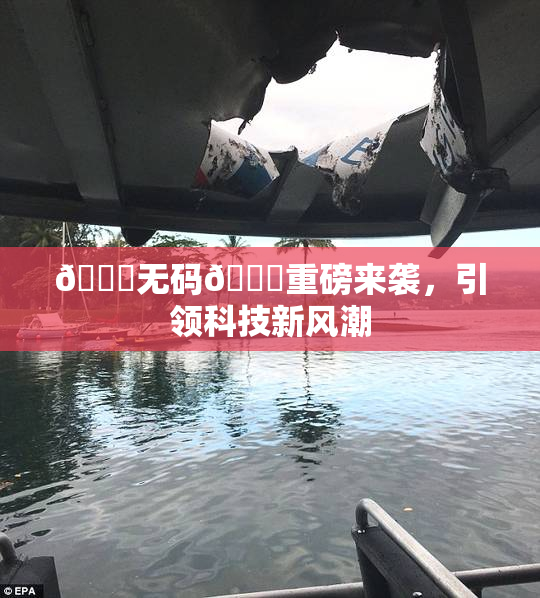 🔞无码🔞重磅来袭，引领科技新风潮