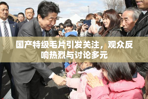 国产特级毛片引发关注，观众反响热烈与讨论多元