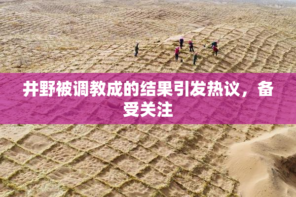 井野被调教成的结果引发热议，备受关注
