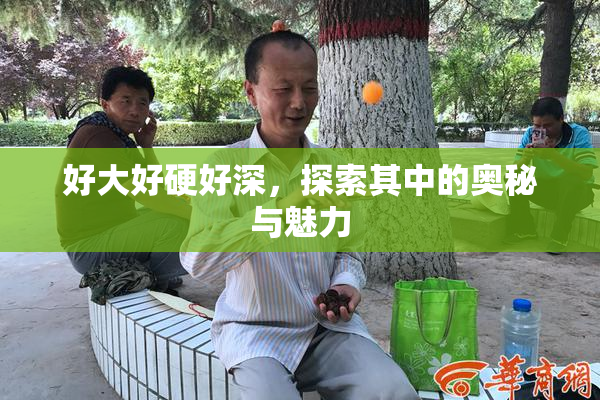 好大好硬好深，探索其中的奥秘与魅力