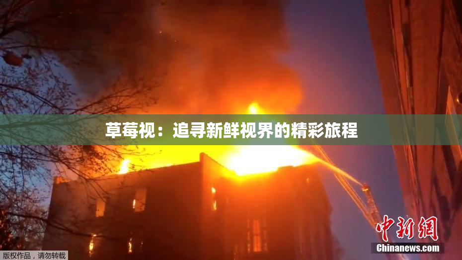 草莓视：追寻新鲜视界的精彩旅程