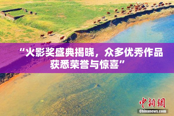 “火影奖盛典揭晓，众多优秀作品获悉荣誉与惊喜”