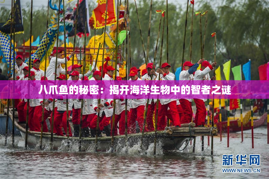 八爪鱼的秘密：揭开海洋生物中的智者之谜