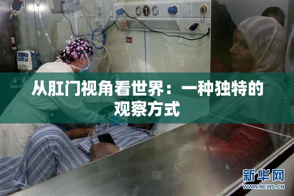 从肛门视角看世界：一种独特的观察方式