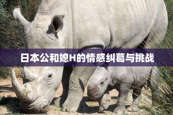 日本公和媳H的情感纠葛与挑战
