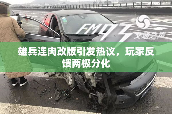 雄兵连肉改版引发热议，玩家反馈两极分化