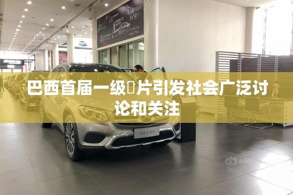 巴西首届一级婬片引发社会广泛讨论和关注
