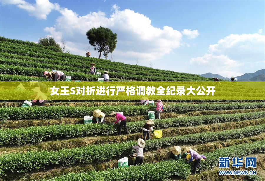 女王S对折进行严格调教全纪录大公开