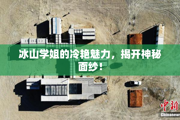 冰山学姐的冷艳魅力，揭开神秘面纱！