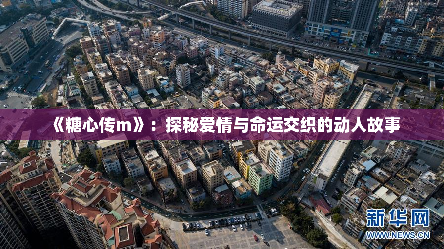 《糖心传m》：探秘爱情与命运交织的动人故事