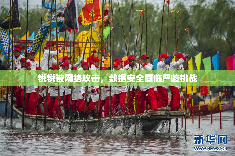 锐锐被网络攻击，数据安全面临严峻挑战