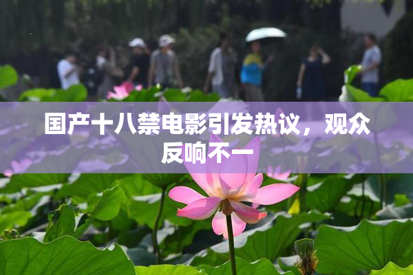 国产十八禁电影引发热议，观众反响不一