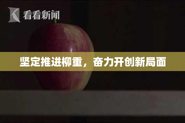 坚定推进柳重，奋力开创新局面