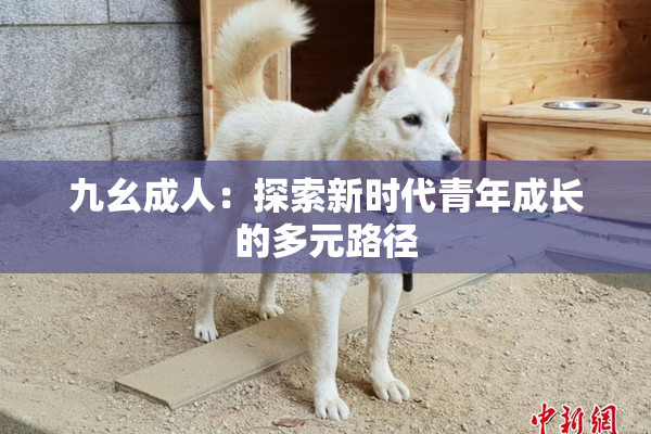 九幺成人：探索新时代青年成长的多元路径