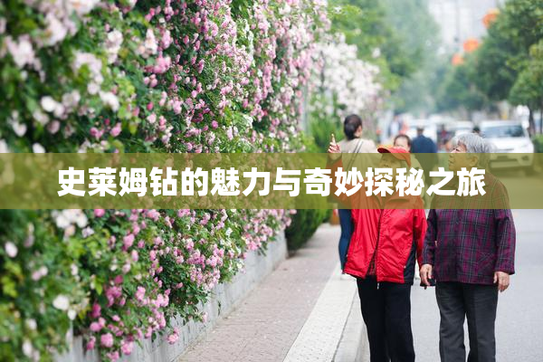 史莱姆钻的魅力与奇妙探秘之旅