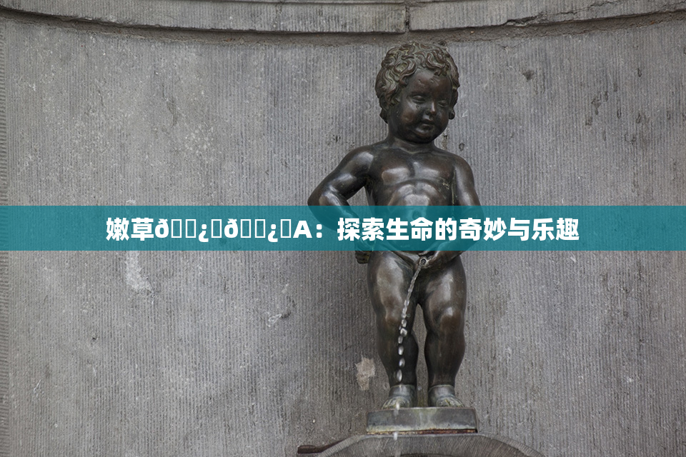 嫩草🌿‌🌿‌A：探索生命的奇妙与乐趣