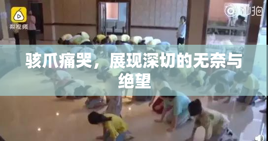 骇爪痛哭，展现深切的无奈与绝望