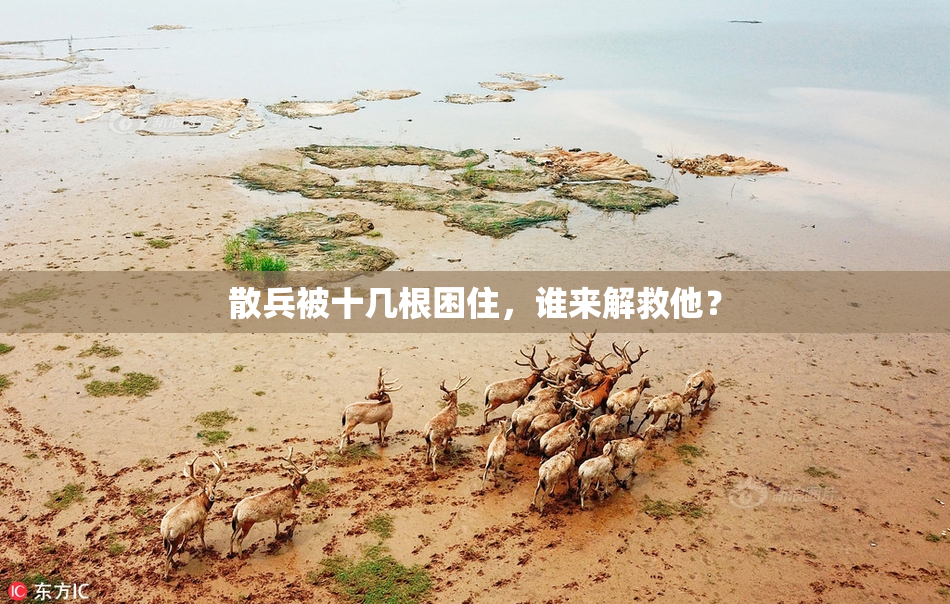 散兵被十几根困住，谁来解救他？