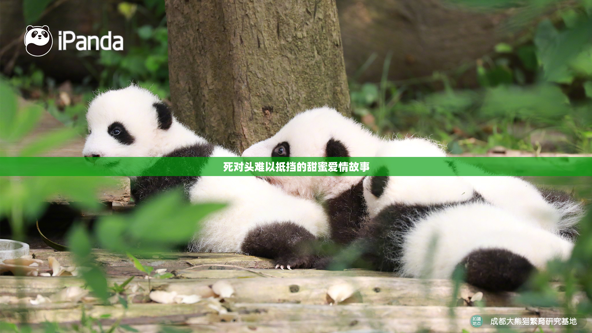 死对头难以抵挡的甜蜜爱情故事