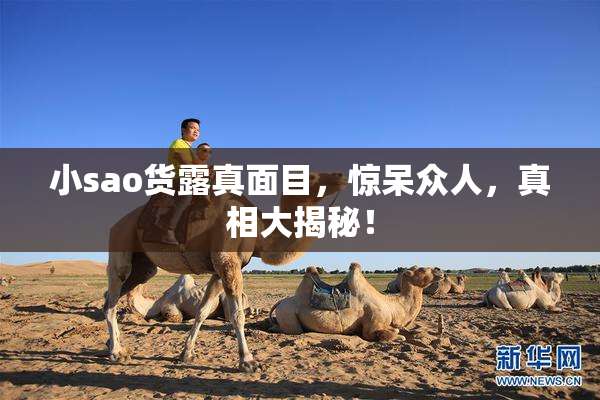 小sao货露真面目，惊呆众人，真相大揭秘！