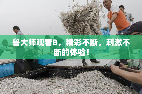 鲁大师观看B，精彩不断，刺激不断的体验！