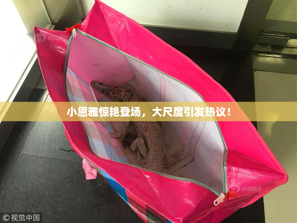 小恩雅惊艳登场，大尺度引发热议！