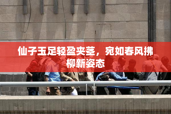 仙子玉足轻盈夹茎，宛如春风拂柳新姿态