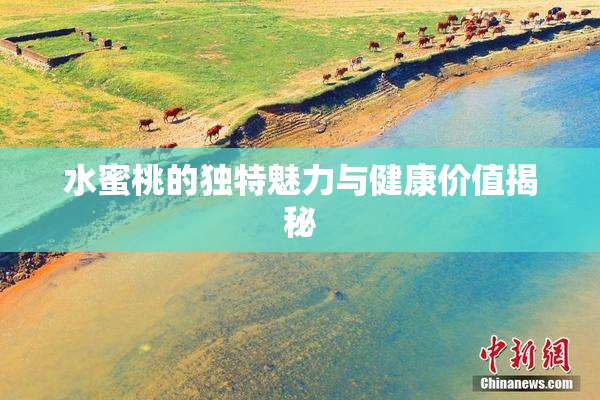 水蜜桃的独特魅力与健康价值揭秘